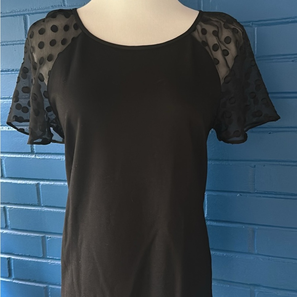 Black Sheer Sleeve Women's Top